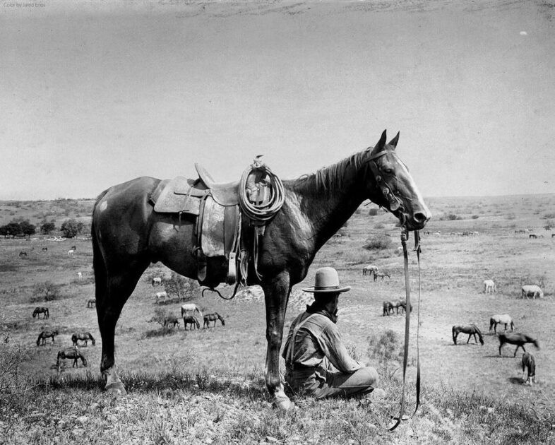 A cowboy sits close to his horse on a hill in Old West Bonham, Texas. June, 1910.