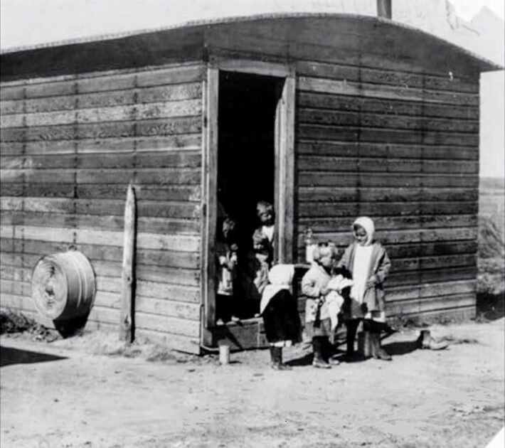 Life in the Fields: Mollie Schuman’s Story, 1915