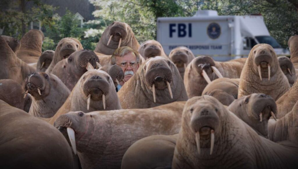ohn Bolton hiding in walrus herd to dodge FBI raid, per satirical Bethesda, MD security probe news.